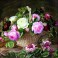 Dekorative servietter med engelske roser